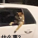_X_Lks