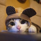 啦啦啦