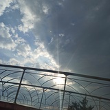 FlyingWind