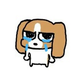 冬眠的小熊