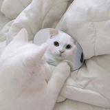反反复复