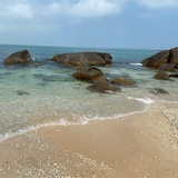 子纤