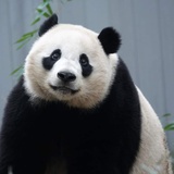 好暖磕了这对cp