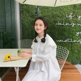 猫小咪
