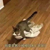 豆友223512853