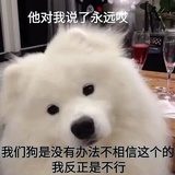 惊蛰