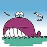 miss.whale