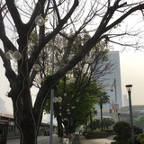 租房在广州