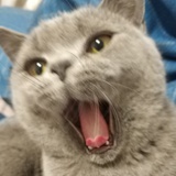 千寻的回眸
