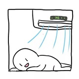 初见你