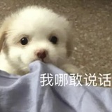 元气满满