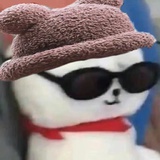 王哈哈