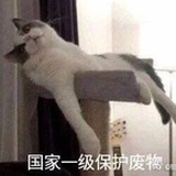 纸牌屋（第一季