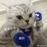 nbchybxdhhg
