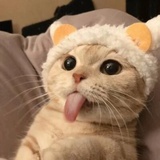婉瑜