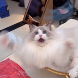 一会吃什么