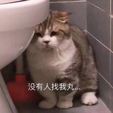 咸鱼没有梦想