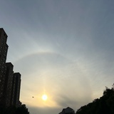 每天都想躺平