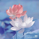 天线宝死于非命