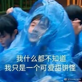 Aa收破烂