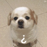 王二丁