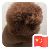 夏天