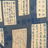 知宁