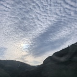 小锦鲤