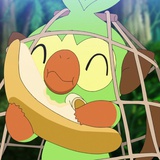 大剑独角仙