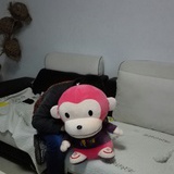pandays