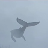 █