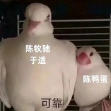 莫名°