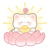 好运来来来