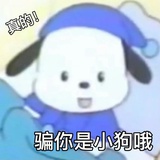 是风就该自由
