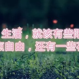 小葱拌豆腐