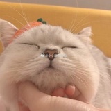 阿咸摔倒了