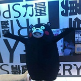 小小飞飞