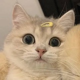 我磕的Cp太甜了