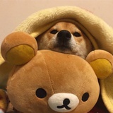 马大哈