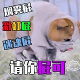 拜拜雪皇后