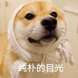 天使街上