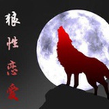 Adical林狼