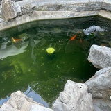 清醒