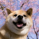 一般路过秋田