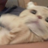 安安