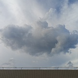 酸不溜邱