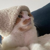 鱼丸