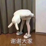 潘潘