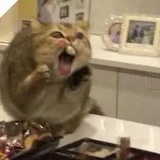 谁谁谁