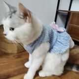 呱呱